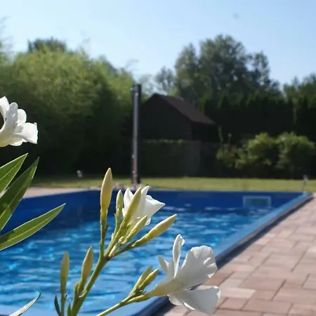 Villa Balaton Gyenes Gyenesdias